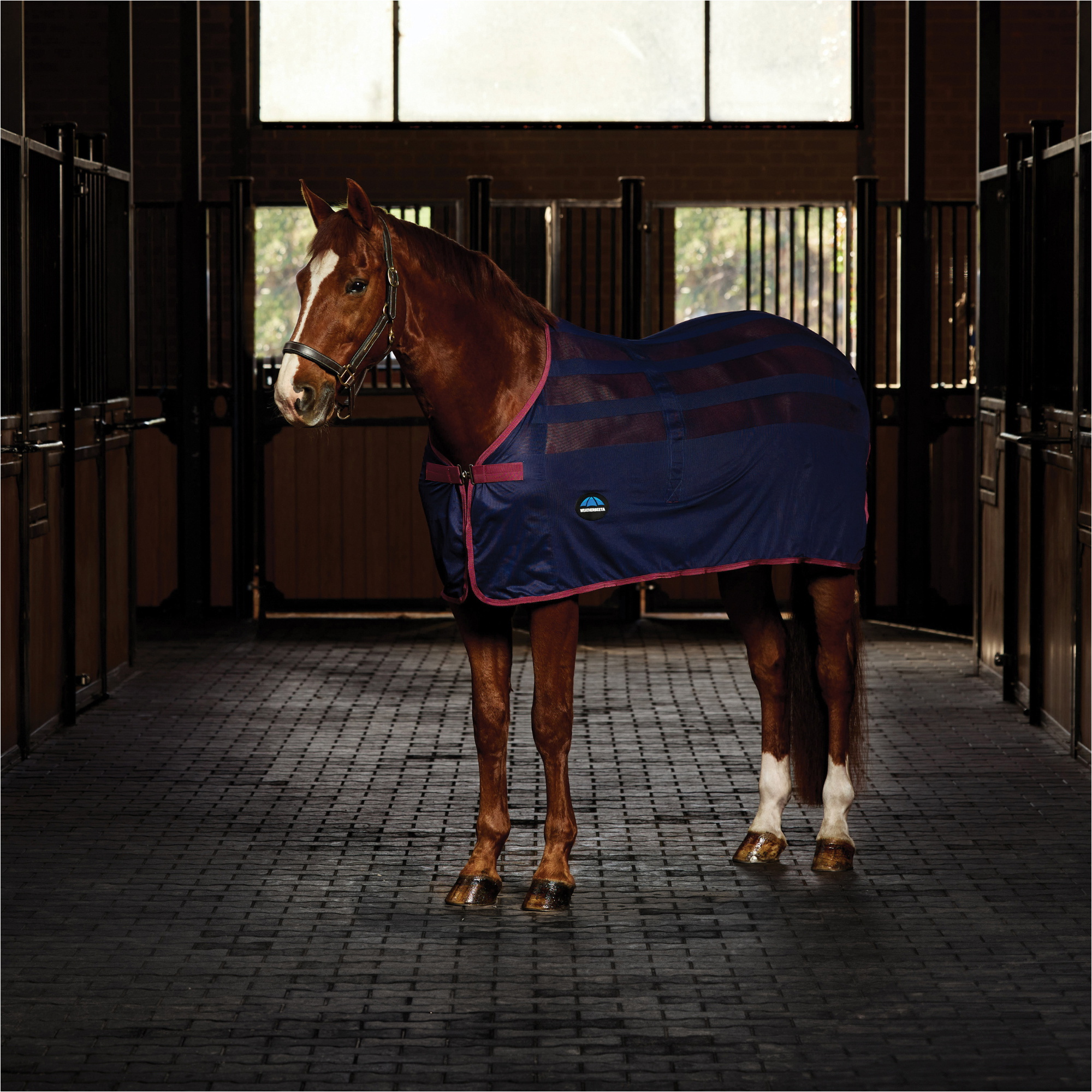 2025 WeatherBeeta Scrim Kühler Standard Nacken 1001896 - Navy